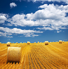 Image showing Farm field with hay bales