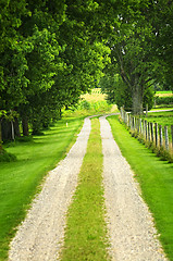 Image showing Farm road