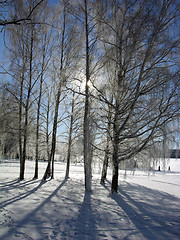 Image showing Winterday