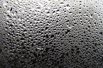 Image showing Dewdrops on window glass