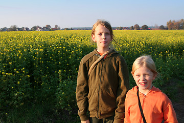 Image showing Sunset over the rape field