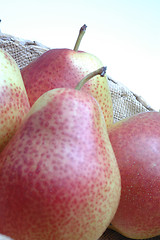 Image showing FORELLE pears