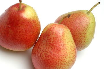 Image showing FORELLE pears on white