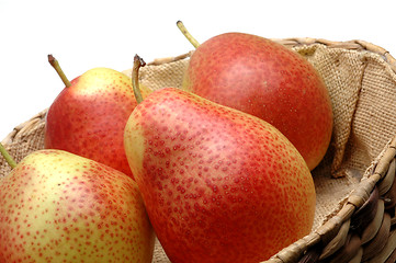 Image showing FORELLE pears