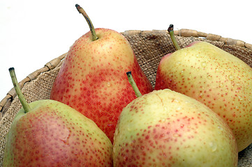 Image showing sweet FORELLE pears