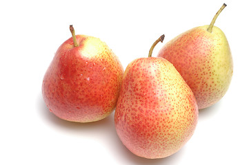 Image showing three forelle pears