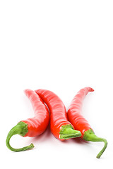 Image showing three red chilly peppers 