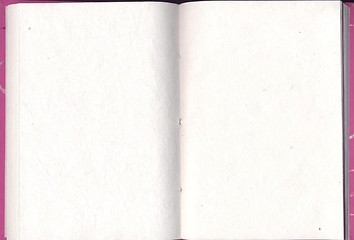 Image showing Blank diary pages