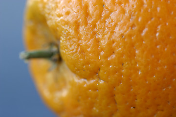 Image showing Orange