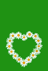 Image showing Daisy in love shape over green background