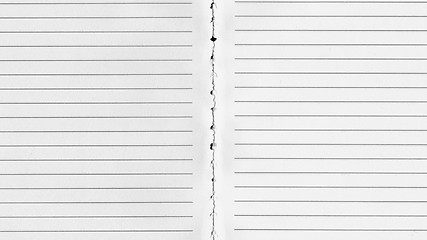 Image showing Blank notebook page