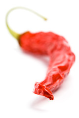 Image showing dry red chilly pepper