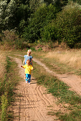 Image showing Walking