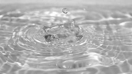 Image showing Water droplet