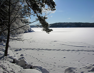 Image showing Winterday 2