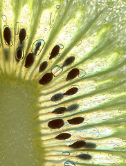 Image showing kiwi background