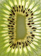 Image showing kiwi background