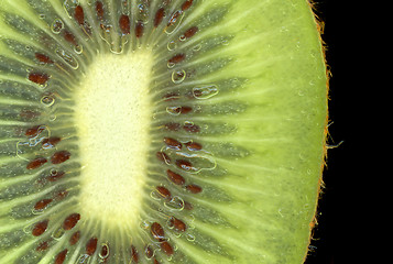 Image showing kiwi background