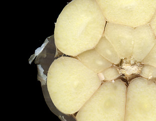 Image showing garlic background