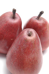 Image showing anjou pear group