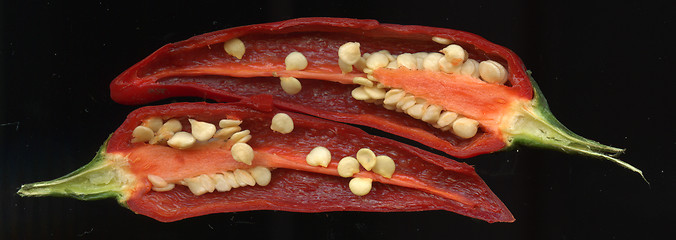 Image showing chili pepper