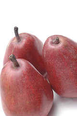 Image showing anjou pears group