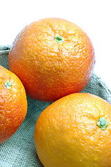 Image showing blood oranges in basket