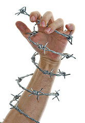 Image showing hand holding a barbed wire