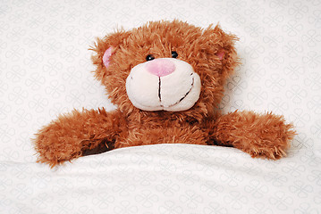 Image showing Teddy bear