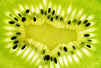 Image showing kiwi