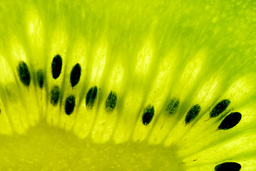 Image showing kiwi