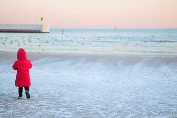 Image showing Winter sea