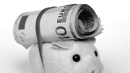 Image showing Pig with money