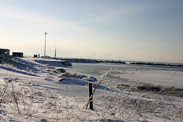 Image showing frozen harbour