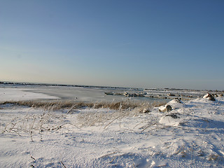 Image showing winter