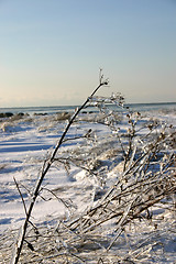 Image showing winter