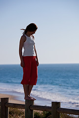 Image showing Walking on a wood fence