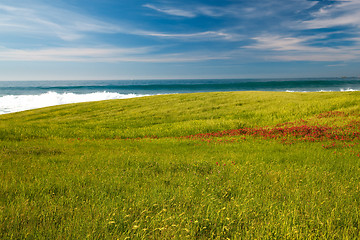 Image showing Beautiful green field