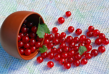 Image showing Red Currant And The Bowl On The Towel