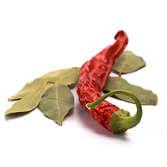 Image showing pimento and bay leaves