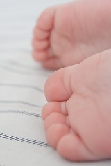 Image showing Baby feet