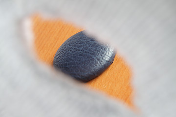 Image showing View of button through a buttonhole