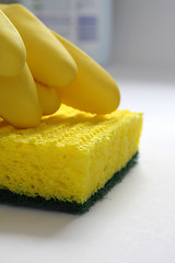 Image showing Sponge and rubber gloves