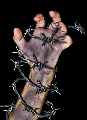 Image showing hand grabbing a barbed wire