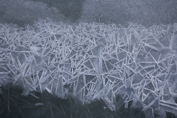 Image showing Winter in Denmark