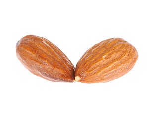 Image showing almond