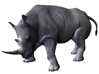 Image showing Charging rhinoceros