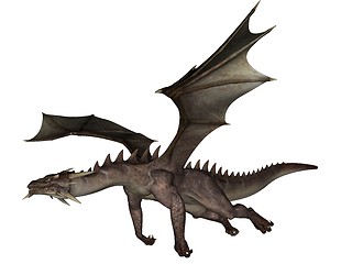 Image showing Dragon