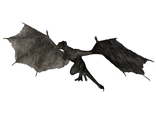 Image showing Flying wyvern