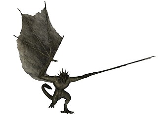 Image showing Charging wyvern